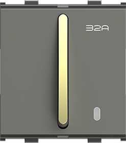 F-31 32A. D.P. Switch with Indicator