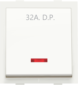 32A. D.P. Switch with Indicator