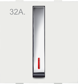 32A. D.P. Switch with Indicator
